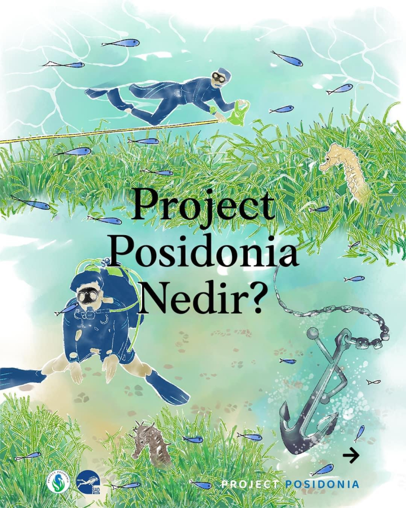 Project Posidonia